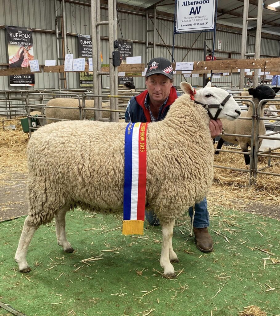 Supreme Longwool Ewe