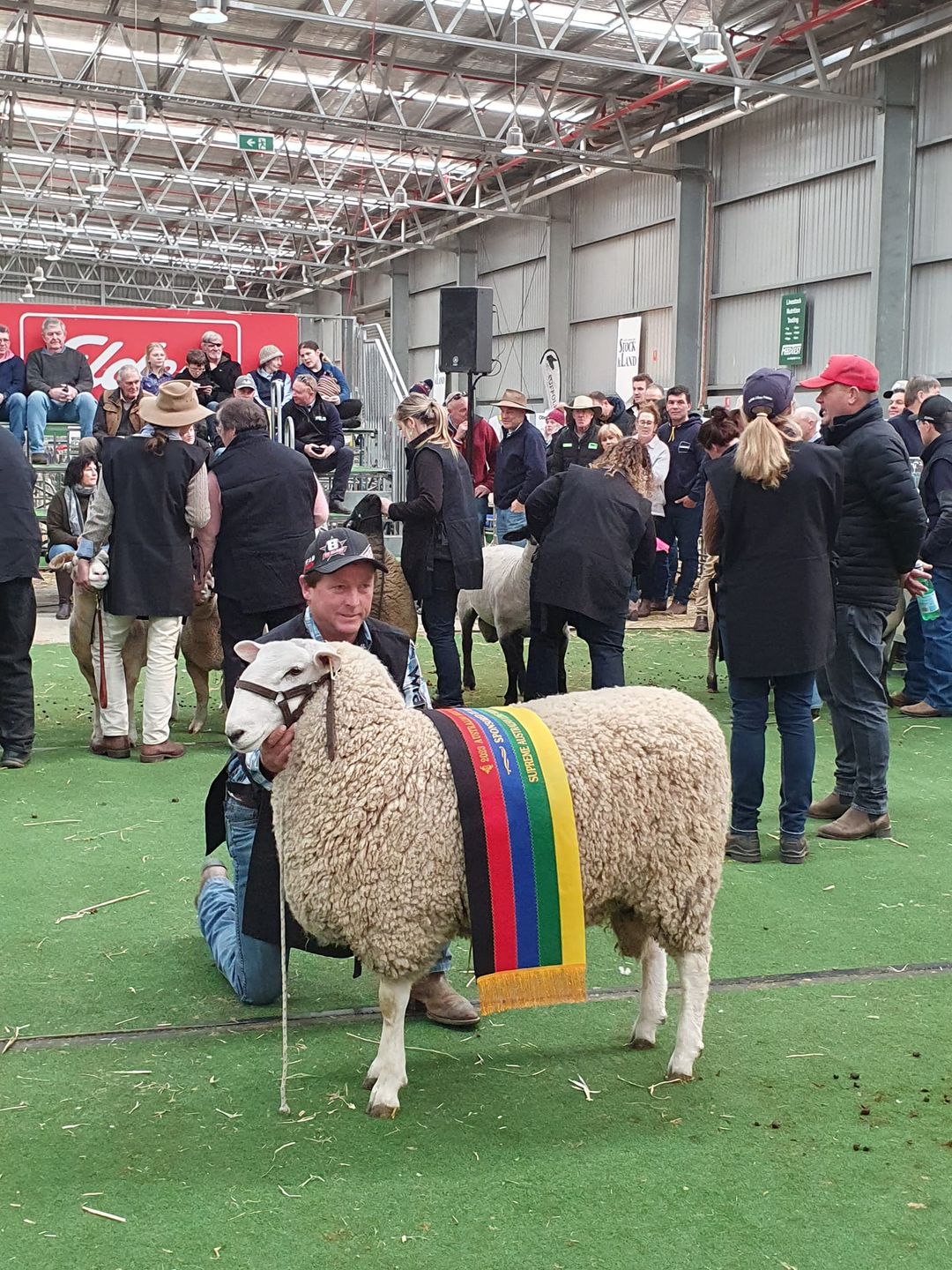 Supreme Longwool Exhibit