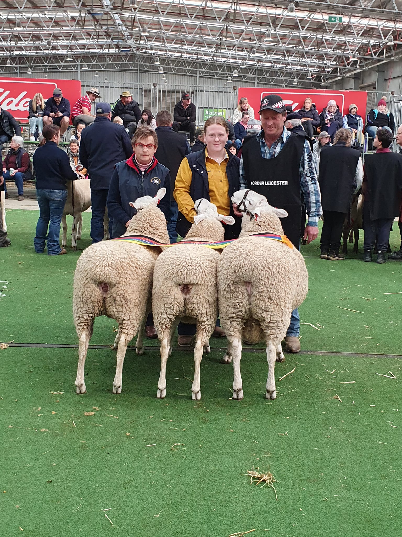 Supreme Longwool Group