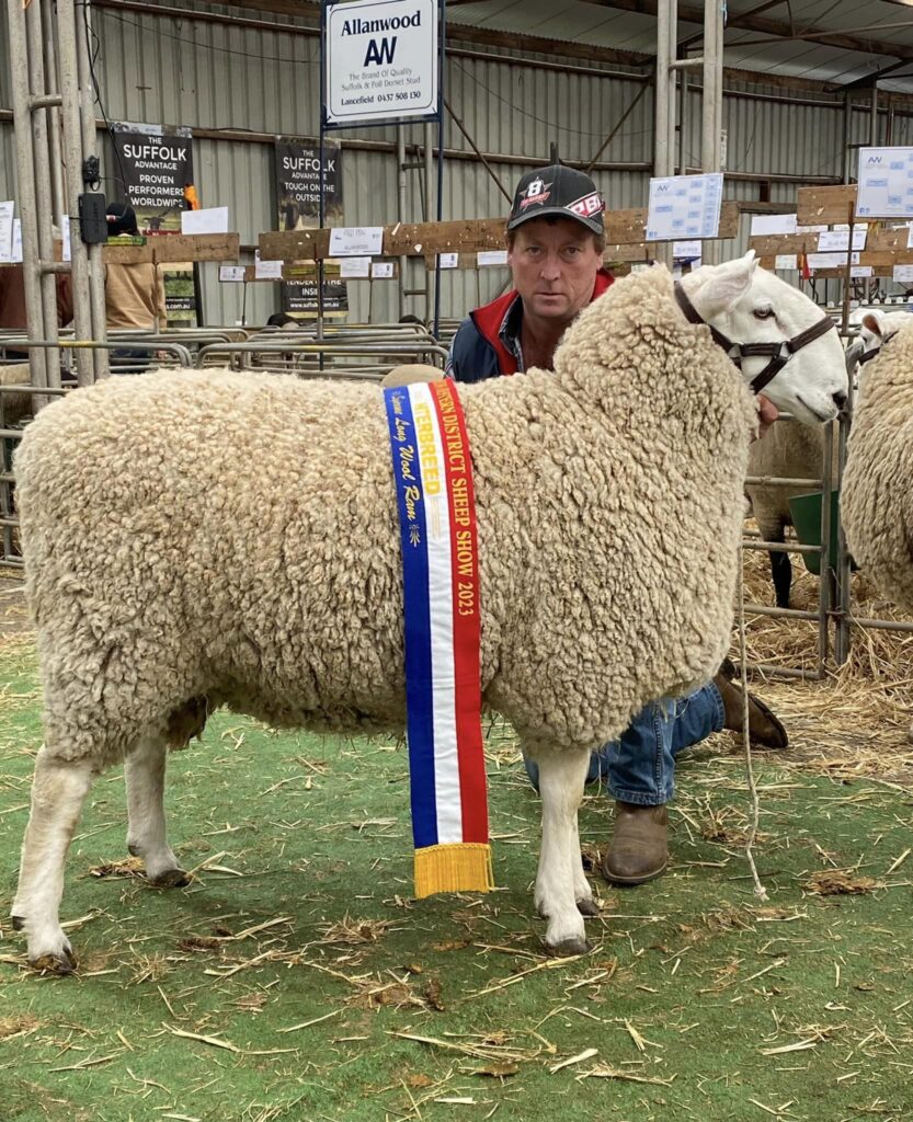 Supreme Longwool Ram